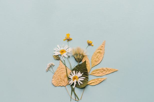 Trockenblumen